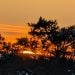 Drmorgan is Single in Saskatoon, Saskatchewan, 6