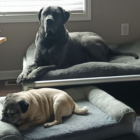 LadyEsther is Single in Des Moines, Iowa, 4