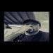 SCOPION is Single in Hollywood, Florida
