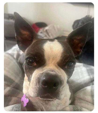 Jesska is Single in Lebanon, Indiana, 6