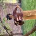 PhilipforgiveRaymond is Single in HOCKLEY, Texas