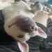 Evan035 is Single in Marcus Hook, Pennsylvania, 3