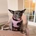 Nely670 is Single in BOISE, Idaho, 1