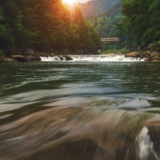 Joyce7711 is Single in Ames, Iowa, 4