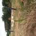 CCCC1 is Single in Kyneton, Victoria