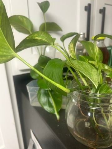 Bblessedandlovedgrac