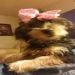SharonCook1960 is Single in Charlotte, North Carolina, 6