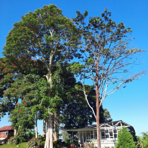Marta805 is Single in Manado, Sulawesi Utara, 4