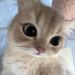 Karn00 is Single in Manado, Sulawesi Utara