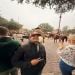 josuehdz is Single in Converse, Texas