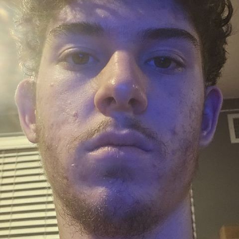 TylerD17 is Single in Livonia, Michigan, 2