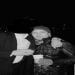 moraseth is Single in Ridgewood, New York