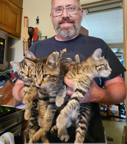 Fozzydabeer is Single in West Lafayette, Indiana, 6