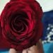 Jessica_irisiam is Single in Ahilyanagar , Maharashtra