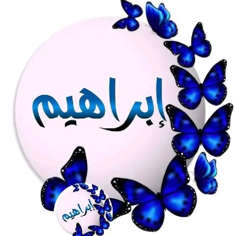 Chrouf is Single in Jvhh, Oran, 2