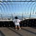 Derlo1091 is Single in plainfield , New Jersey