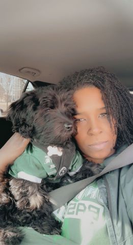 BrazleA is Single in Lansing, Michigan, 4
