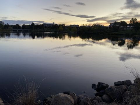 Viva008 is Single in Weston Creek, Australian Capital Territory, 2