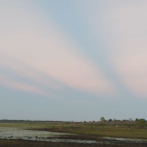 Gilmara09