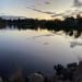 Viva008 is Single in Weston Creek, Australian Capital Territory, 2