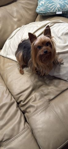 Bellakubbys is Single in OKLAHOMA CITY, Oklahoma, 2