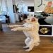 Jame590 is Single in Barangaroo, New South Wales, 3