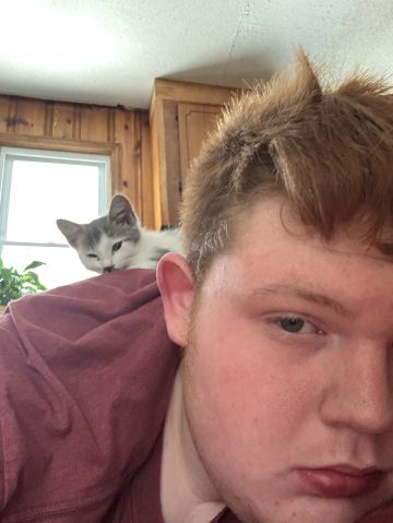 Lukas379 is Single in union, South Carolina, 4