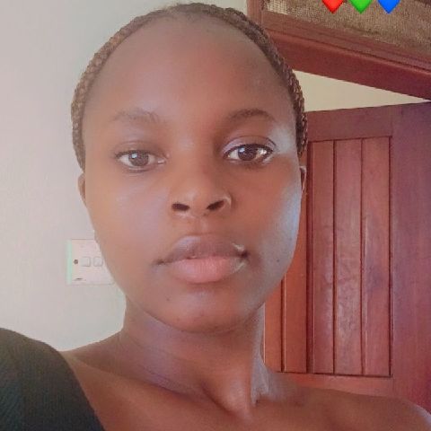 Brie256