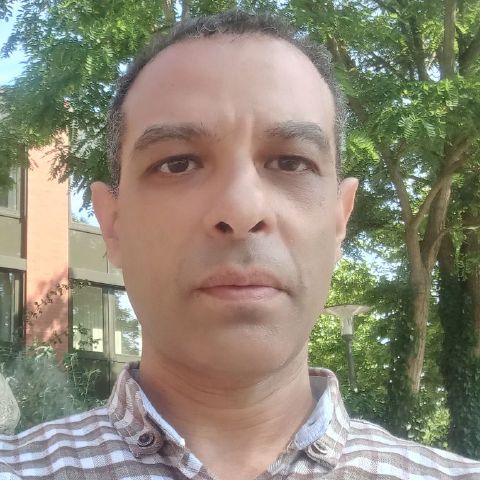 rimon24