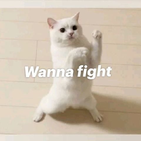 ashiaj47
