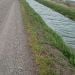 Chris12346 is Single in Heyburn, Idaho, 5