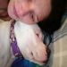 Jacqueline07 is Single in HOPE MILLS, North Carolina