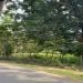 SircarSircar is Single in Kolkata, West Bengal