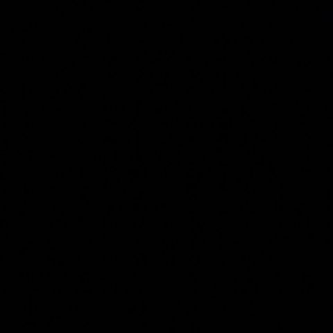 Fenix1