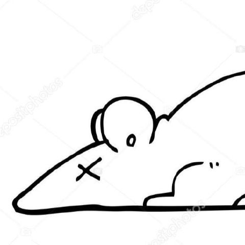 rajujhonny