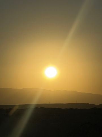 SueCoptic