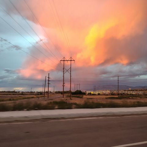 Brandijo08 is Single in Albuquerque, New Mexico, 4
