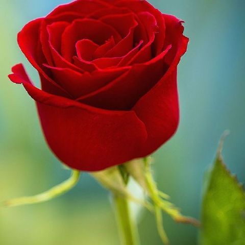 Girma98