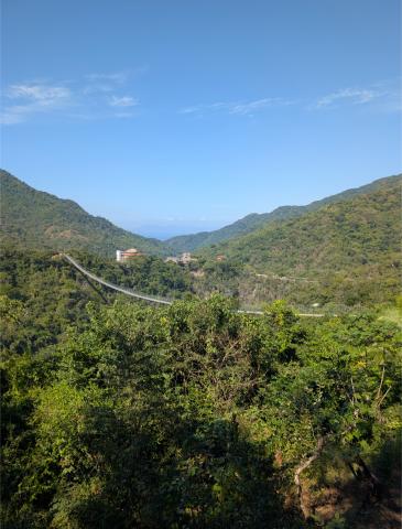 Elgatovolador