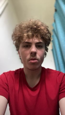 typicallevi