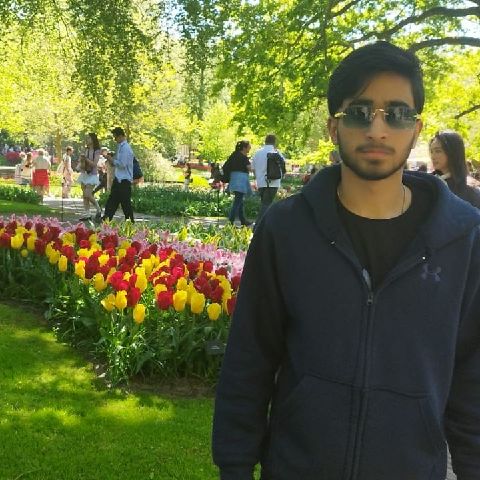 Sethi42