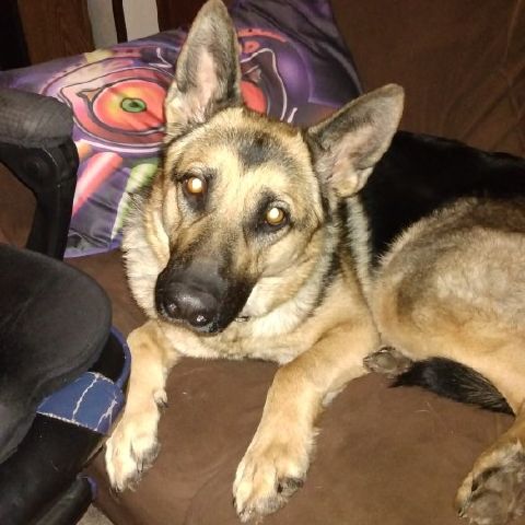BioBlizard23 is Single in Necedah, Wisconsin, 5