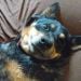 BioBlizard23 is Single in Necedah, Wisconsin, 3