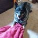 BioBlizard23 is Single in Necedah, Wisconsin, 4