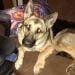 BioBlizard23 is Single in Necedah, Wisconsin, 5