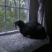 Jaedee767 is Single in Emerson, New Jersey