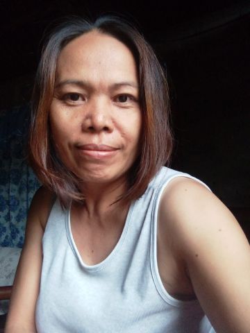 Shy83