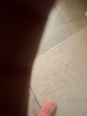 gladychocolate