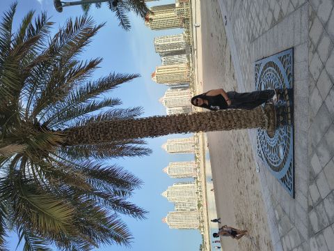 Ayen86