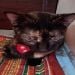 Hali_Meow is Single in Katy, Texas, 3